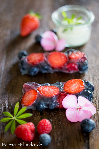 Sommerrollen, Früchte, vegan, Helene Holunder